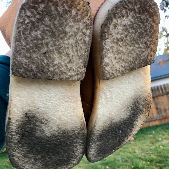 Size 40 Arhus in Honey - Picture 8 of 8